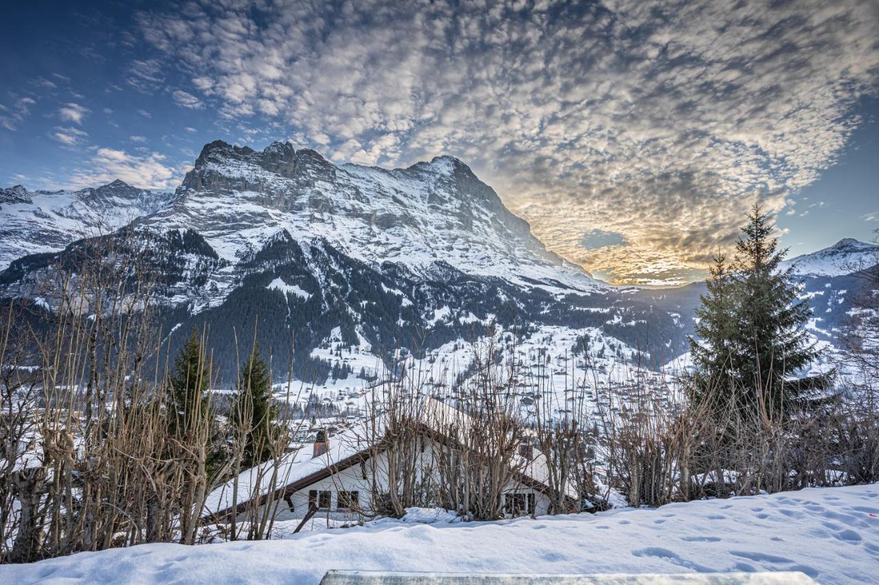 Chalet Weid Grindelwald Buitenkant foto