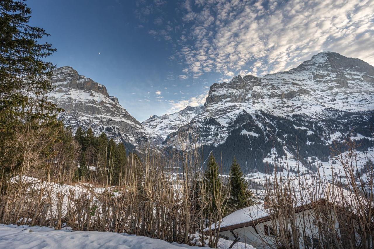 Chalet Weid Grindelwald Buitenkant foto